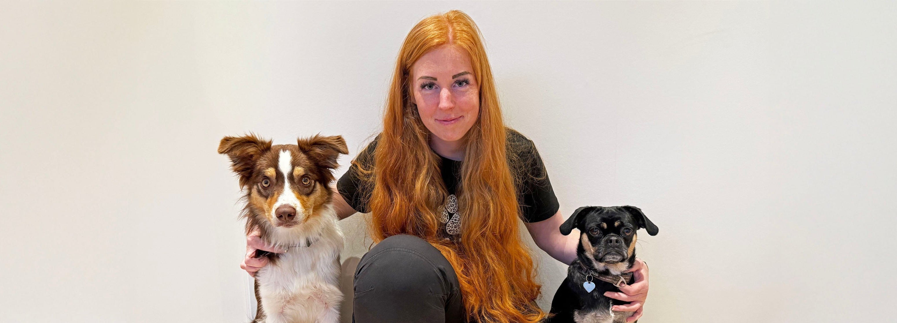 Bag de varme hænder – min rejse til hundenes verden