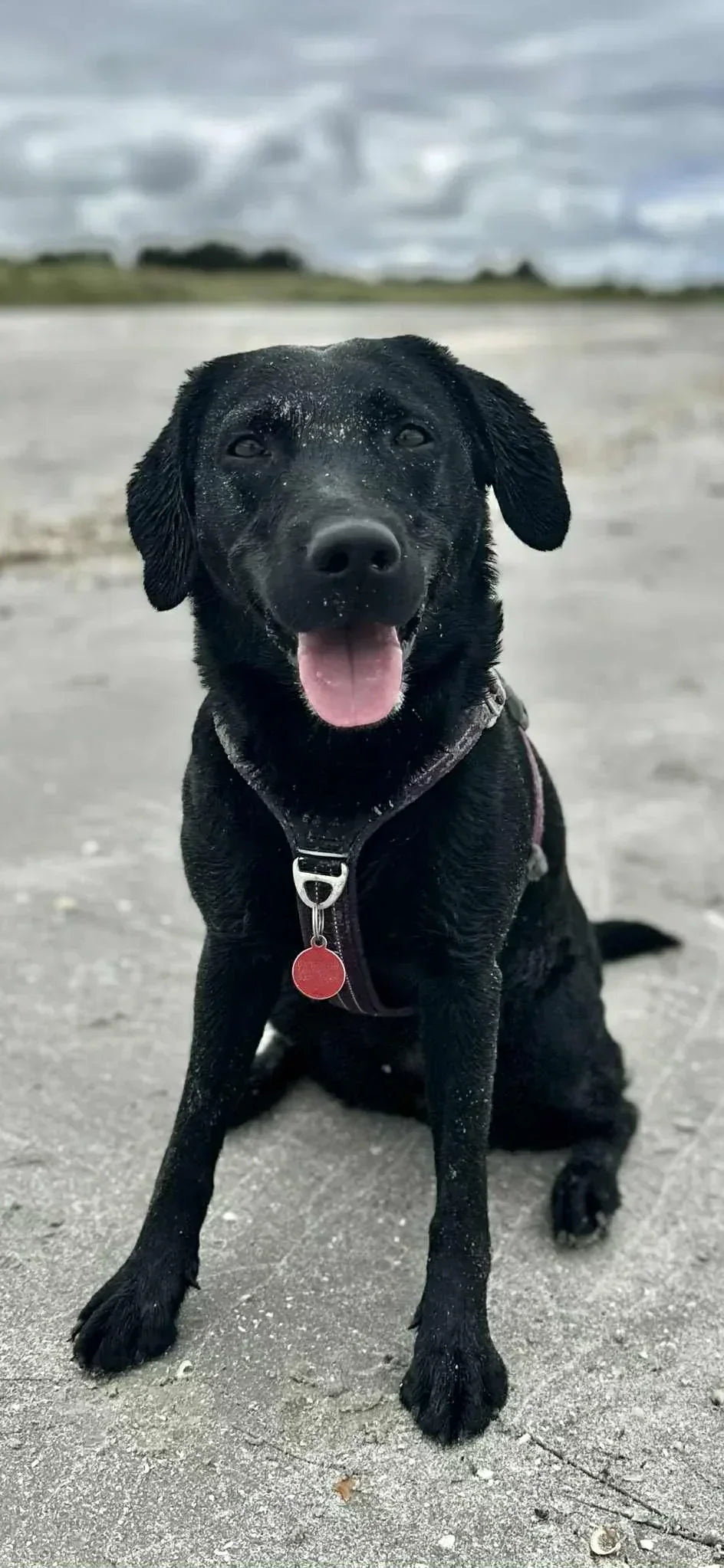Frida