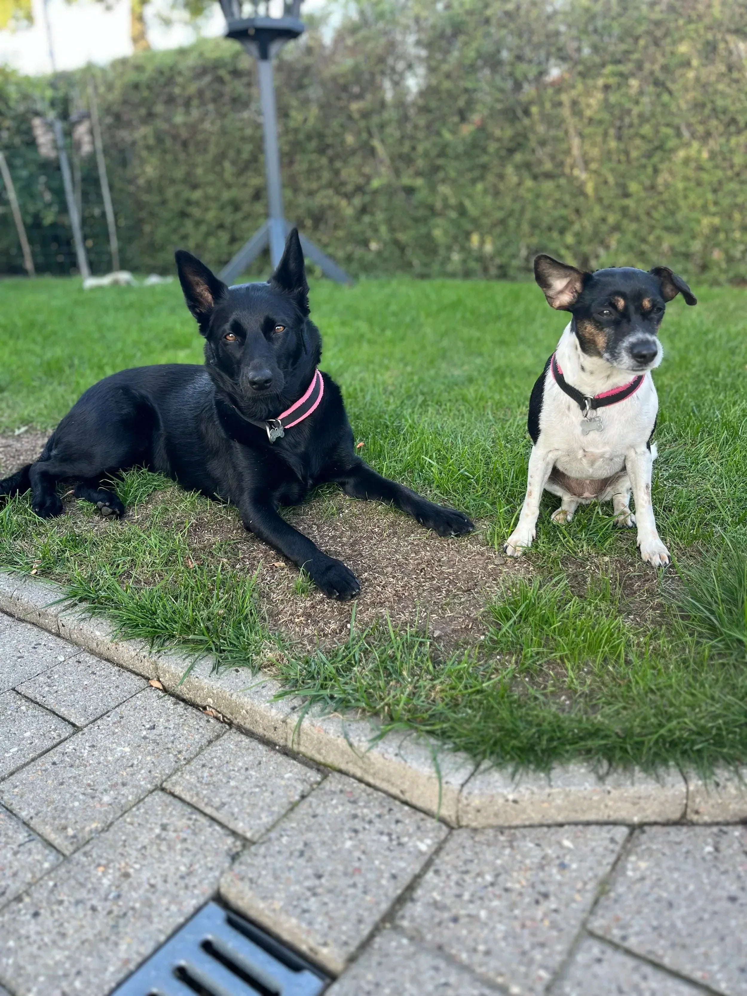 Pippi & Sallie