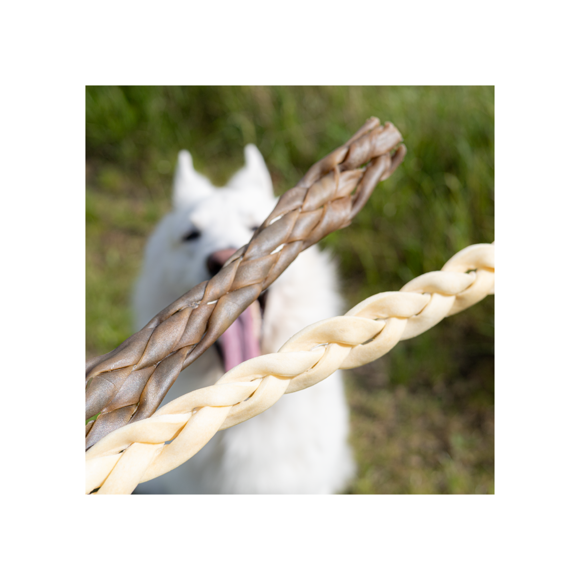 Snack‘it Flettet Lammehud 15cm (Kort dato aug 26)