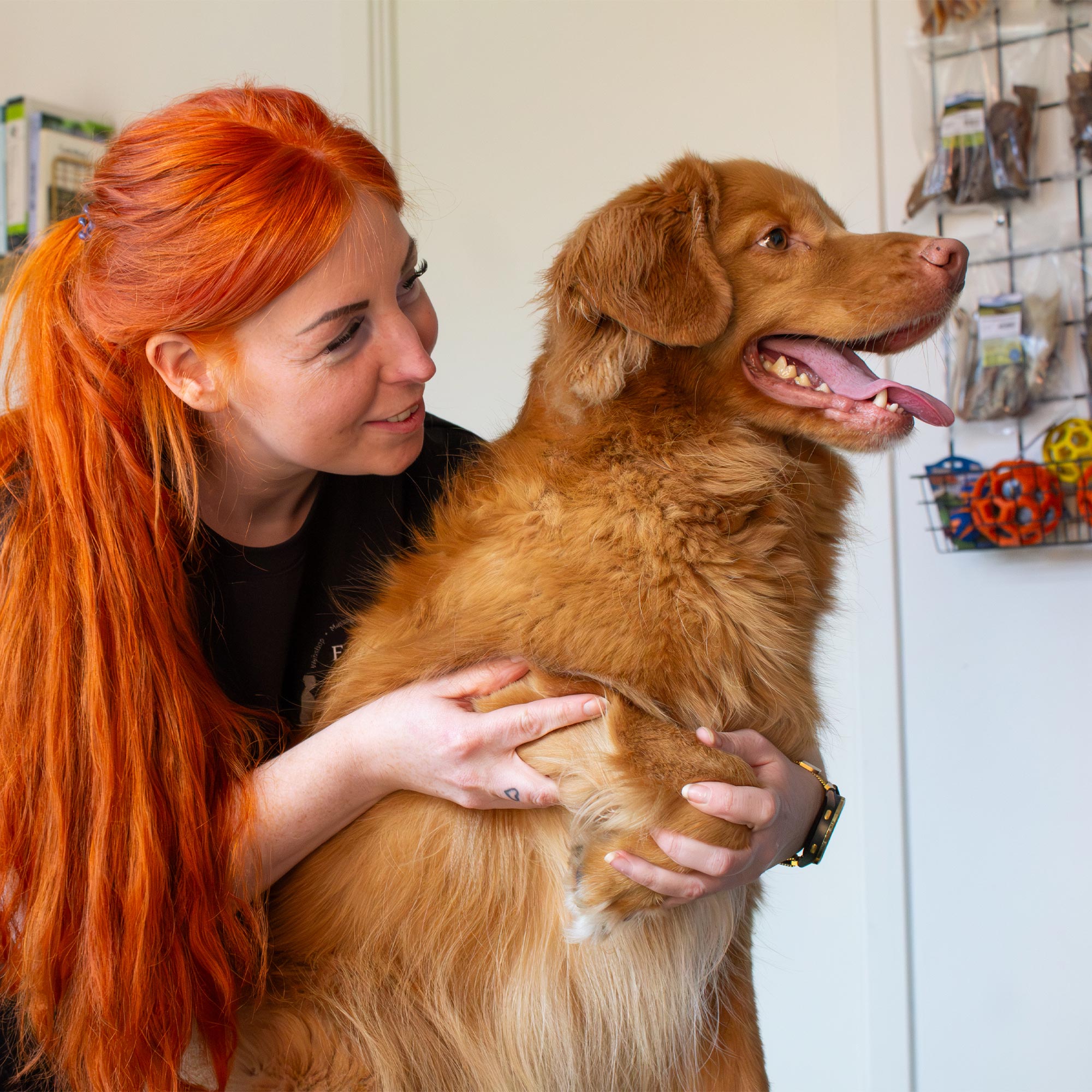 Hundemassage - Opfølgende behandling