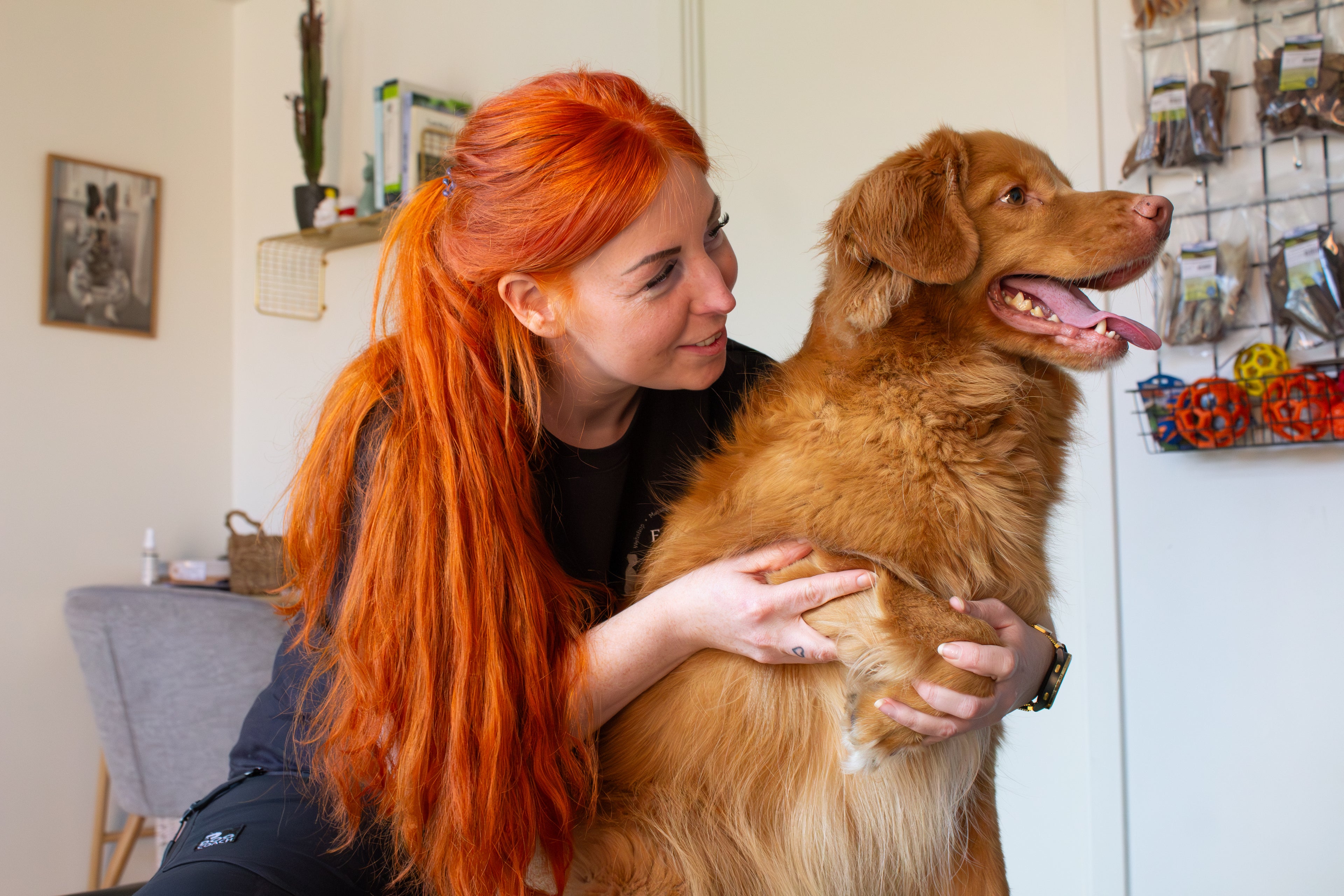 Hundemassage - Opfølgende behandling