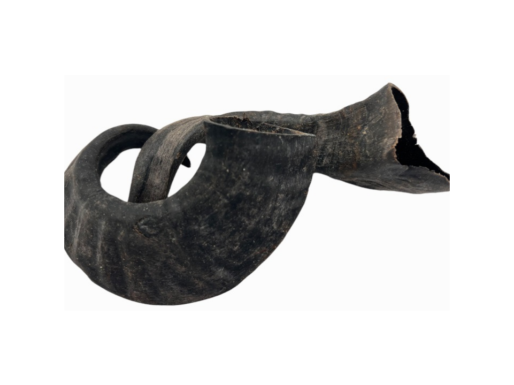 Lamme Horn