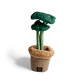 B&B Pawtanic Garden Plante