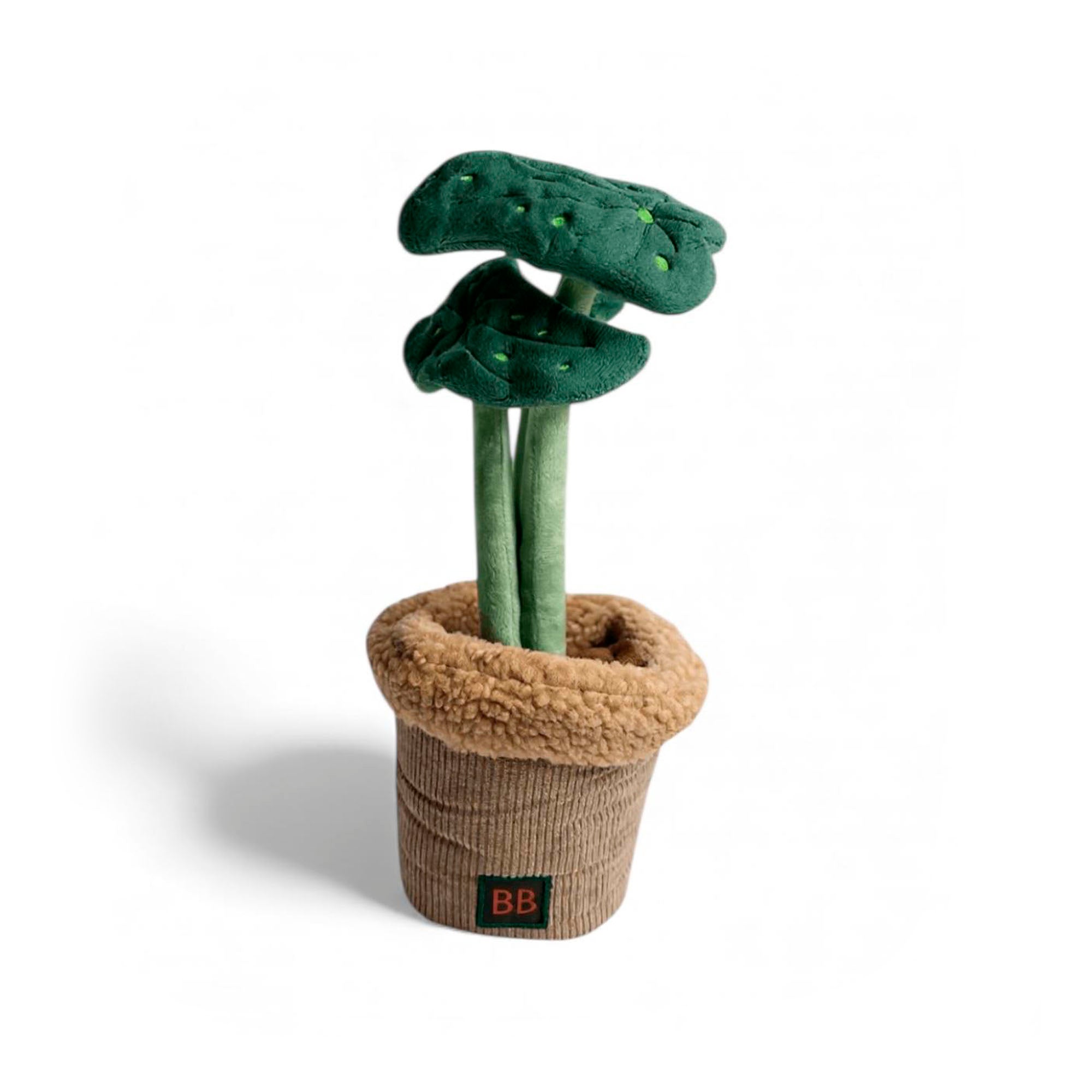 B&B Pawtanic Garden Plante